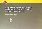 Esquemas de los recursos en el proceso civil y penal para profesionales