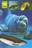 Animales del mar : peces, ballenas y delfines Animales del mar : peces, ballenas y delfines