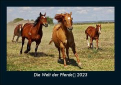 Die Welt der Pferde 2023 Fotokalender DIN A5 - Tobias Becker