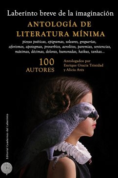 Cover Laberinto breve de la imaginación : antología de literatura mínima