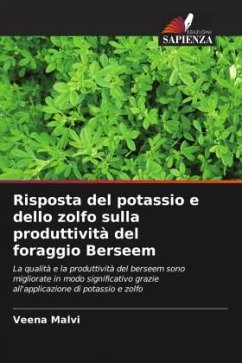 Risposta del potassio e dello zolfo sulla produttività del foraggio Berseem - Malvi, Veena