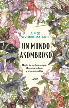 Cover Un mundo asombroso