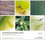 La alcachofa, de la huerta a la mesa : recetas de Moisés Martínez y estudios sobre el paisaje, el cultivo y sus valores nutricionales