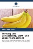 Wirkung von Bewässerung, Blatt- und Saugermanagement