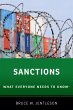 Sanctions (eBook, PDF) - Bild 1
