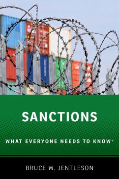 Cover Sanctions (eBook, ePUB)