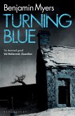 Turning Blue (eBook, ePUB)