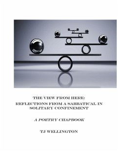 The View From Here: Reflections From A Sabbatical In Solitary Confinement (eBook, ePUB) - Wellington, Tj