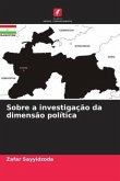 Sobre a investigação da dimensão política