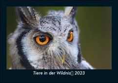 Tiere in der Wildnis 2023 Fotokalender DIN A5 - Tobias Becker