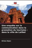 Une enquête sur la communication dans la promotion du tourisme : dans la ville de Lalibel