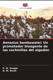 Aenasius bambawalei: Un prometedor bioagente de las cochinillas del algodón