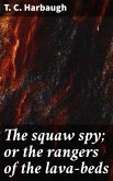 The squaw spy; or the rangers of the lava-beds (eBook, ePUB)