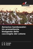 Aenasius bambawalei: Un promettente bioagente delle cocciniglie del cotone
