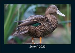 Enten 2023 Fotokalender DIN A5 - Tobias Becker