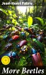 More Beetles (eBook, ePUB) - Bild 1