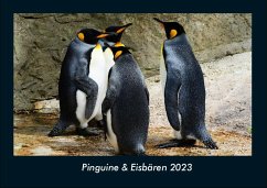 Pinguine & Eisbären 2023 Fotokalender DIN A4 - Tobias Becker