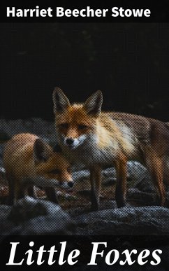 Little Foxes (eBook, ePUB) - Stowe, Harriet Beecher