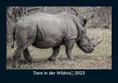 Tiere in der Wildnis 2023 Fotokalender DIN A5 - Tobias Becker