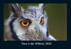 Tiere in der Wildnis 2023 Fotokalender DIN A4