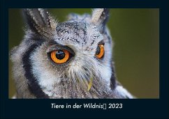 Tiere in der Wildnis 2023 Fotokalender DIN A4 - Tobias Becker