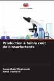 Production à faible coût de biosurfactants