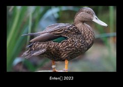 Enten 2023 Fotokalender DIN A3 - Tobias Becker