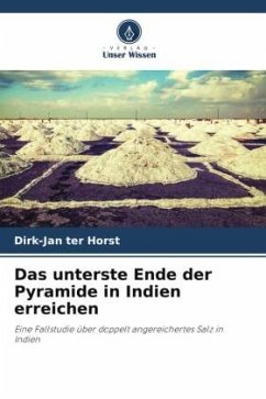 Das unterste Ende der Pyramide in Indien erreichen - ter Horst, Dirk-Jan