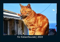 Für Katzenfreunde 2023 Fotokalender DIN A5 - Tobias Becker