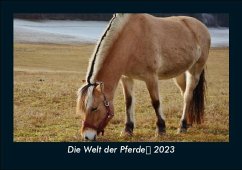 Die Welt der Pferde 2023 Fotokalender DIN A5 - Tobias Becker