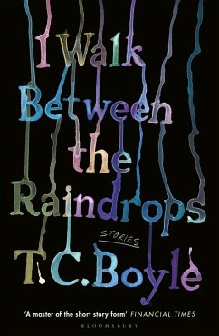 I Walk Between the Raindrops (eBook, ePUB) - Boyle, T. C.