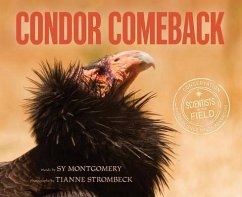 Condor Comeback - Montgomery, Sy