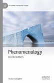 Phenomenology (eBook, PDF)
