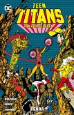 Teen Titans von George Perez - Bd. 5: Terra (eBook, ePUB)
