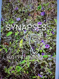 Cover Synapses (eBook, ePUB)