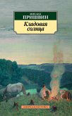 Кладовая солнца (eBook, ePUB)