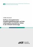 Einfluss atmosphärischer Umgebungsbedingungen auf den Lebenszyklus konvektiver Zellen in der Echtzeit-Vorhersage