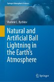 Natural and Artificial Ball Lightning in the Earth’s Atmosphere (eBook, PDF)