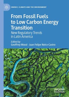 From Fossil Fuels to Low Carbon Energy Transition (eBook, PDF)