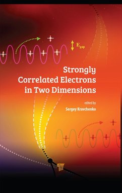 Strongly Correlated Electrons in Two Dimensions (eBook, ePUB) - Kravchenko, Sergey