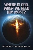 WHERE IS GOD, WHEN WE NEED HIM MOST? (eBook, ePUB)