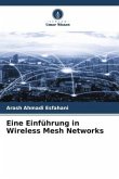 Eine Einführung in Wireless Mesh Networks