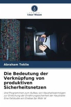 Die Bedeutung der Verknüpfung von produktiven Sicherheitsnetzen - Teklie, Abraham