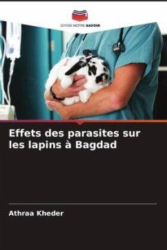 Effets des parasites sur les lapins à Bagdad - Kheder, Athraa