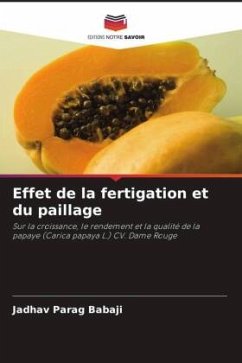 Effet de la fertigation et du paillage - Parag Babaji, Jadhav