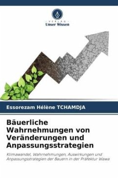 Bäuerliche Wahrnehmungen von Veränderungen und Anpassungsstrategien - Tchamdja, Essorezam Hélène