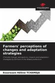 Farmers' perceptions of changes and adaptation strategies