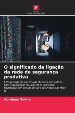 O significado da ligação da rede de segurança produtiva - Teklie, Abraham