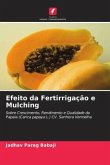 Efeito da Fertirrigação e Mulching