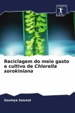 Reciclagem do meio gasto e cultivo de Chlorella sorokiniana